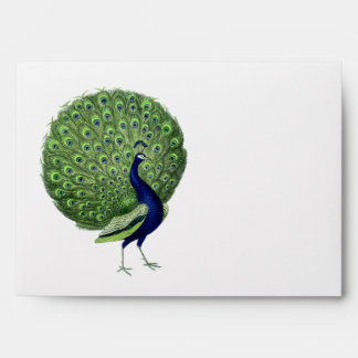 Beautiful Vintage Peacock Envelope