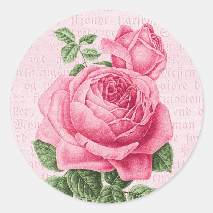 Round Sticker Rose Beautiful vintage pink rose classic round sticker | Zazzle.com