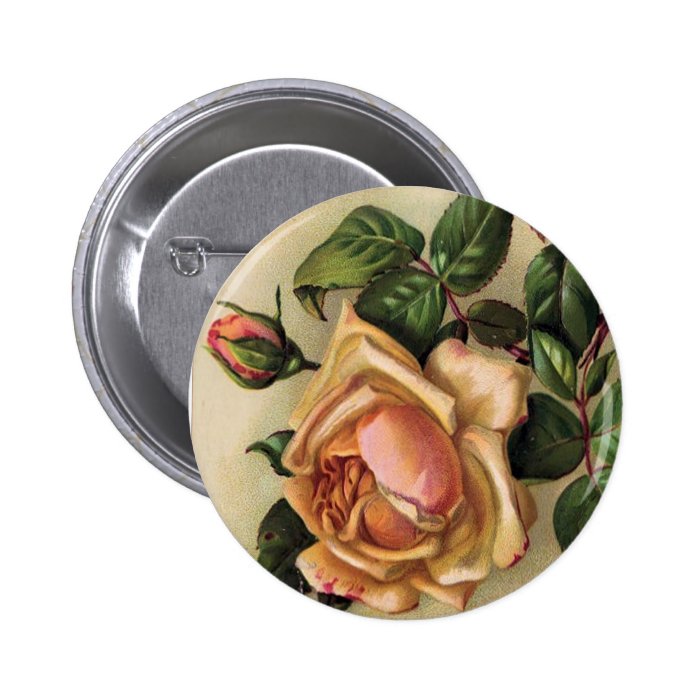 *Beautiful Vintage Roses* Pin