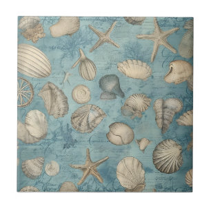 Beautiful Vintage Seashells In Blue Ceramic Tile