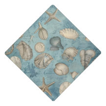 Beautiful Vintage Seashells In Blue