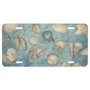 Beautiful Vintage Seashells In Blue License Plate