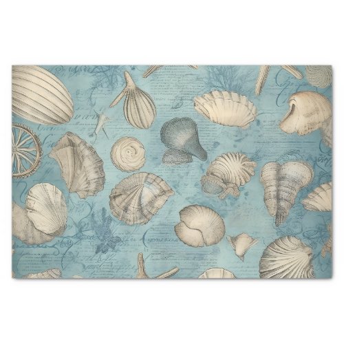 Beautiful Vintage Seashells In Blue Tissue Paper