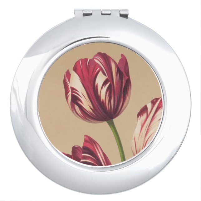 Beautiful Vintage Tulips Art Compact Mirror (Front)