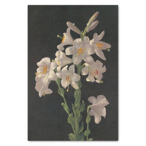 Beautiful Vintage White Easter Lilies Tissue Paper