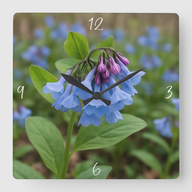 Beautiful Virginia Bluebells  Square Wall Clock (Front)