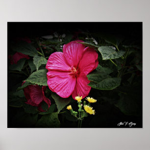 Beautiful Visions Hibiscus Floral Wall Art GPsg