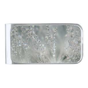 Beautiful water droplets silver finish money clip