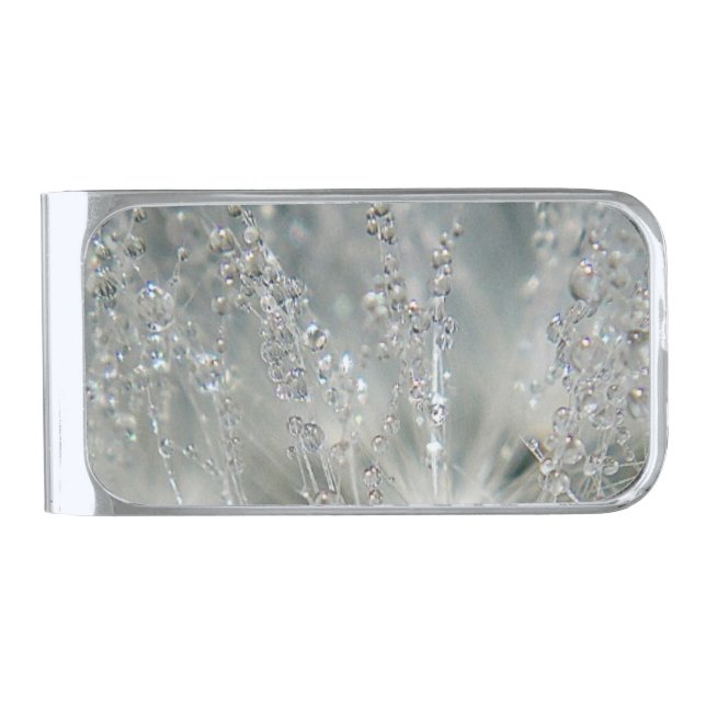 Beautiful water droplets silver finish money clip (Front)