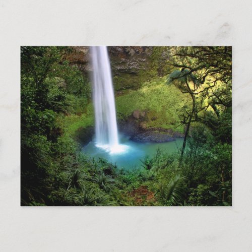 Beautiful Water Fall Postcard