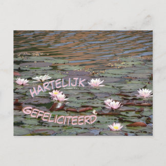 Beautiful Water Lilies Gefeliciteerd Postcard