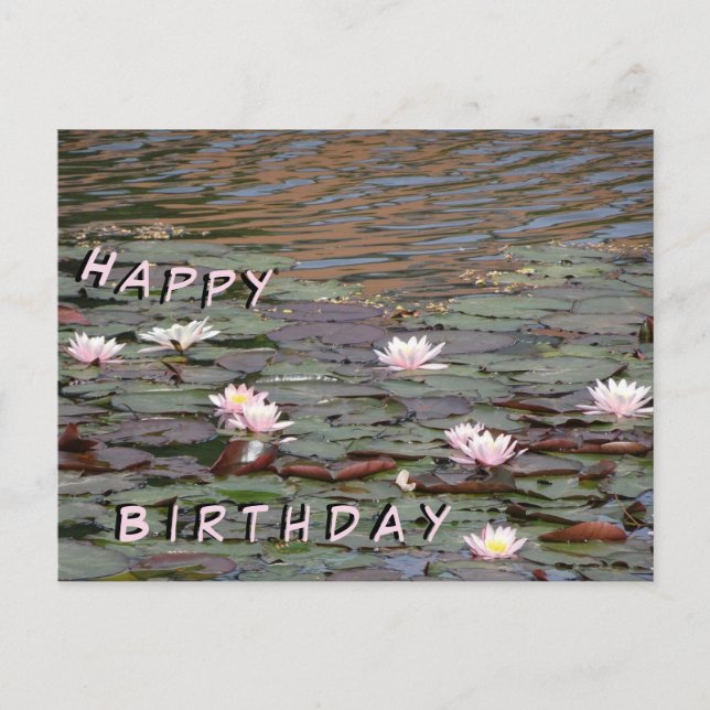 Beautiful Water Lilies Happy Birthday Postcard (Front)