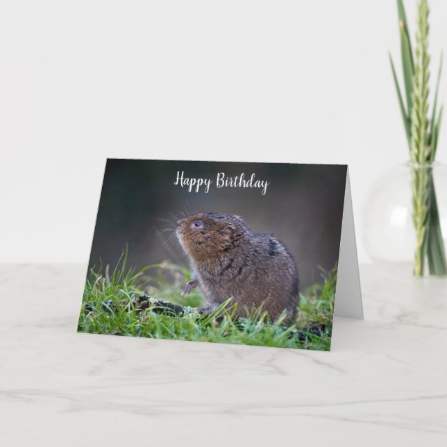 Beautiful Water vole Greeting Card (Front)