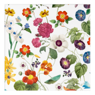 Beautiful Watercolor Botanical Acrylic Print