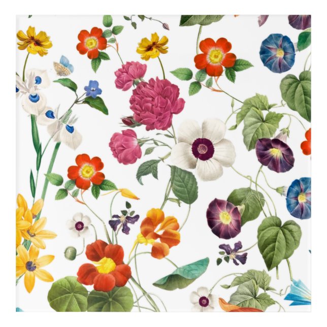 Beautiful Watercolor Botanical Acrylic Print (Front)