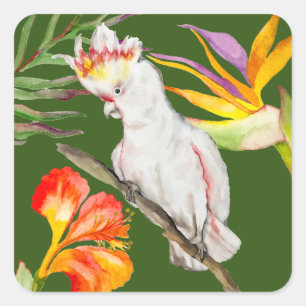 Beautiful watercolor cacatau parrot hand drawing Square Sticker