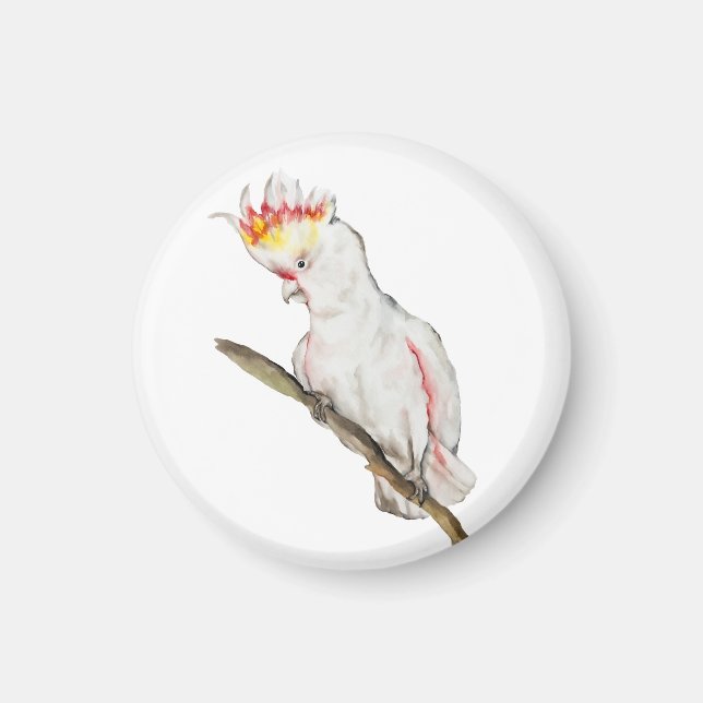 Beautiful watercolor cockatoo parrot hand drawing magnet (Front)
