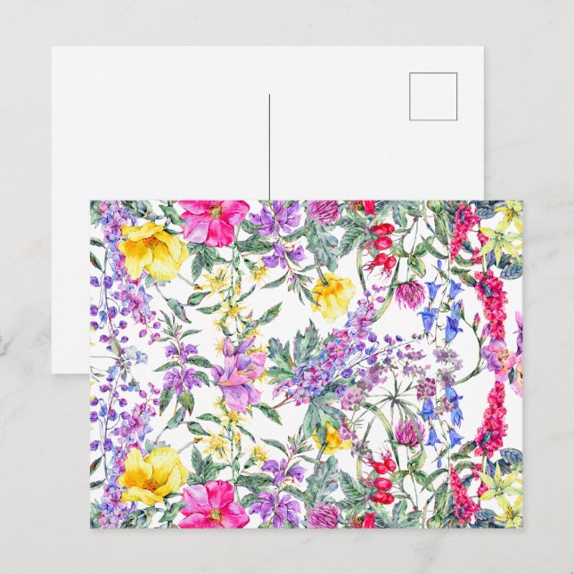 Beautiful Watercolor Colorful Wildflowers    Postcard (Front/Back)