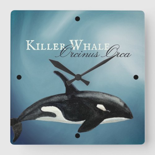Beautiful Watercolor Killer Whale Orcinus Orca Square Wall Clock