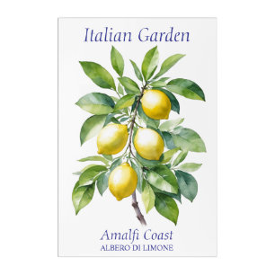 Beautiful Watercolor Lemon Tree  Acrylic Print
