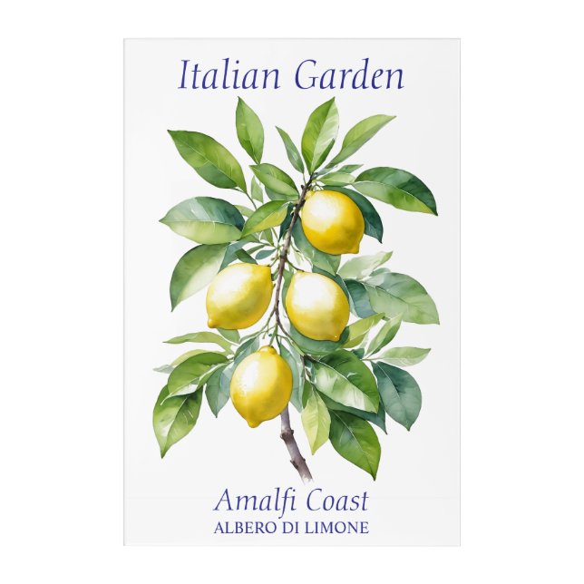 Beautiful Watercolor Lemon Tree  Acrylic Print (Front)