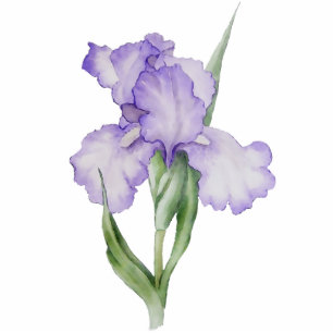 Beautiful Watercolor Purple Iris Garden Flower Cutout