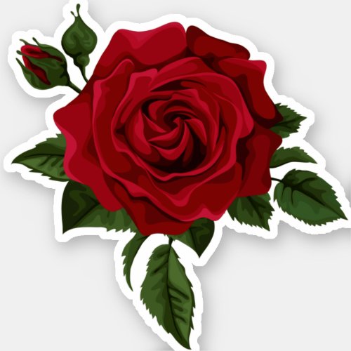 Beautiful Watercolor Red Rose Flower Sticker