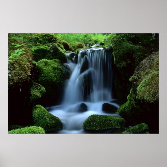 Beautiful waterfall poster | Zazzle.com