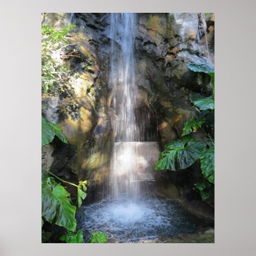 Beautiful Waterfalls In Rain Forest Poster