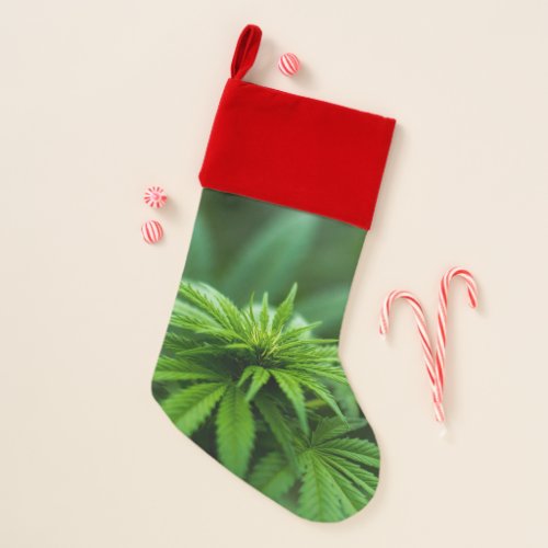 Beautiful Weed Christmas Stocking