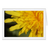 Beautiful Weed : Dandelion Card (Front Horizontal)