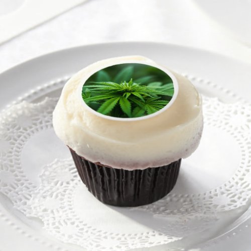 Beautiful Weed Edible Frosting Rounds