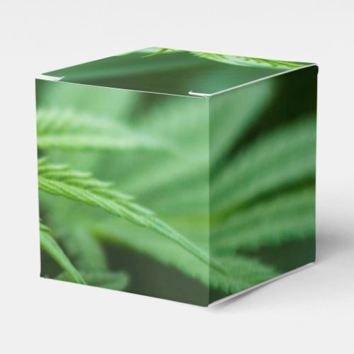 Beautiful Weed Favor Boxes