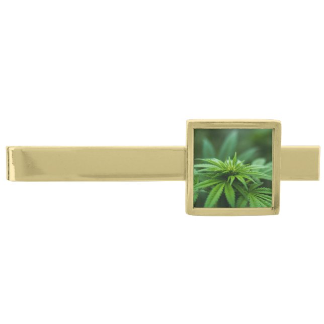 Beautiful Weed Gold Finish Tie Bar (Front)