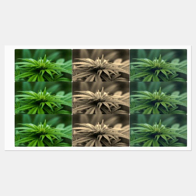 Beautiful Weed Labels (Sheet)