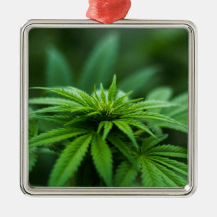 Beautiful Weed Metal Ornament
