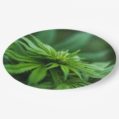 Beautiful Weed Paper Plates