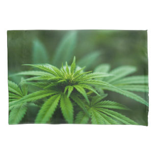 Beautiful Weed Pillow Case