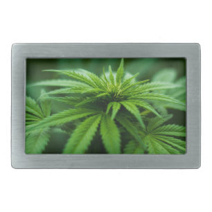 Beautiful Weed Plant Belt Buckle
