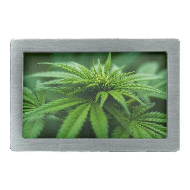Beautiful Weed Plant Belt Buckle (Front)