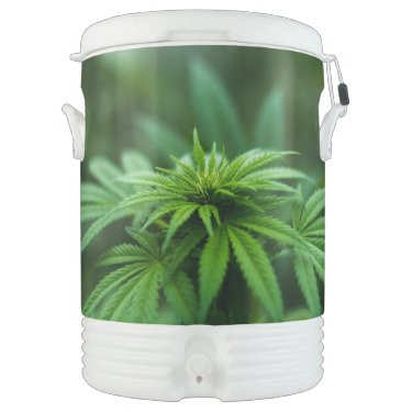 Beautiful Weed Plant Beverage Cooler