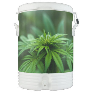 Beautiful Weed Plant Beverage Cooler