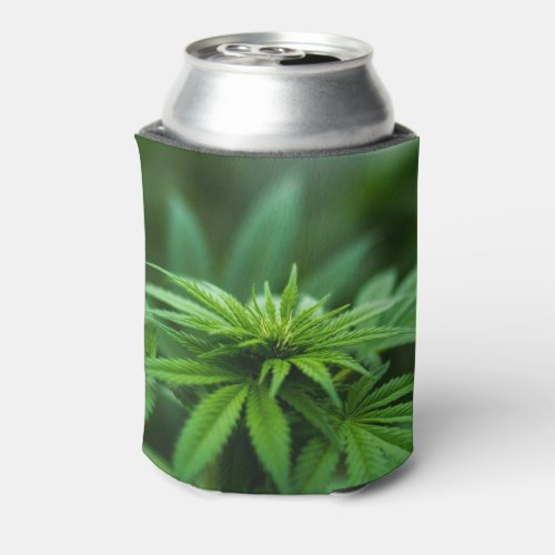 Beautiful Weed Plant Can Cooler