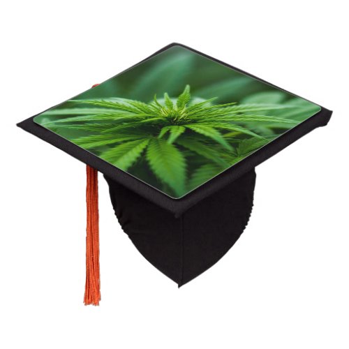 Beautiful Weed Plant Graduation Cap Topper