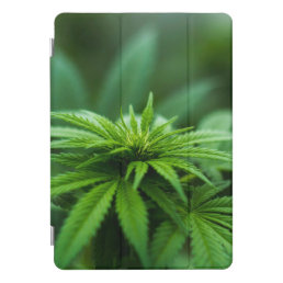 Beautiful Weed Plant iPad Smart Cover