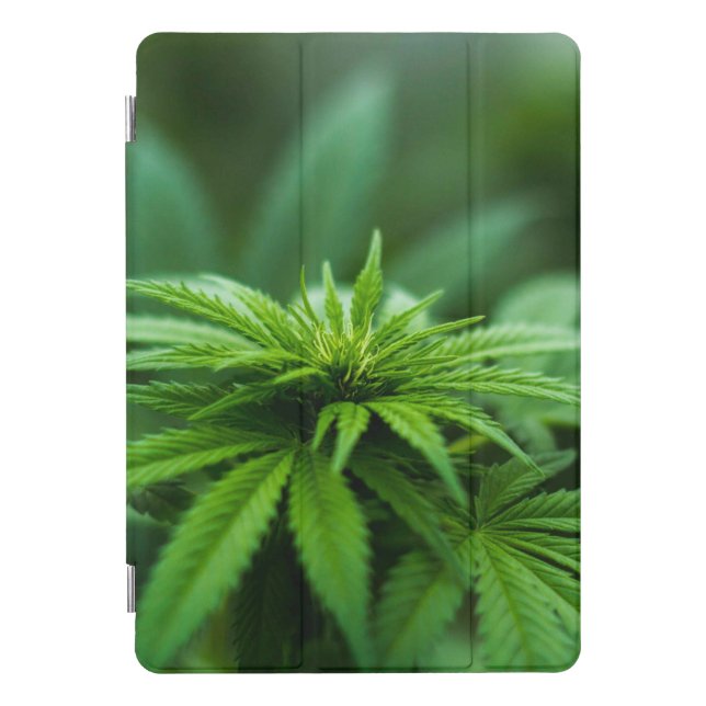 Beautiful Weed Plant iPad Smart Cover (Front)