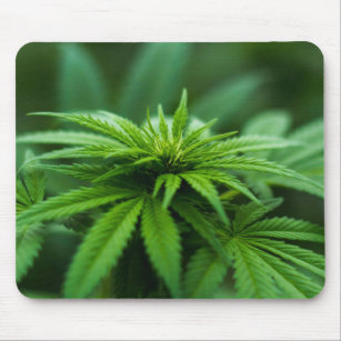 Beautiful Weed Plant Mouse Pad