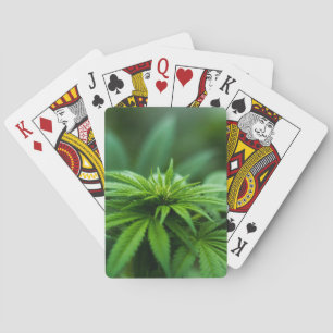 Beautiful Weed Plant Poker Cards