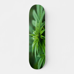 Beautiful Weed Plant Skateboard