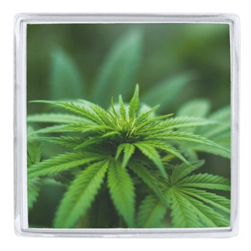 Beautiful Weed Silver Finish Lapel Pin